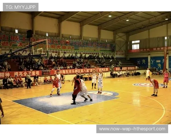 中国篮球联赛裁判误判案例系统整理与制度改进建议，篮球裁判错判